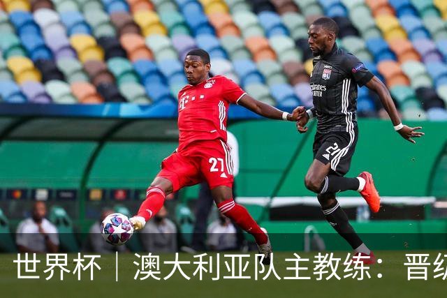 世界杯｜澳大利亚队主教练：晋级淘汰赛是我们应得的